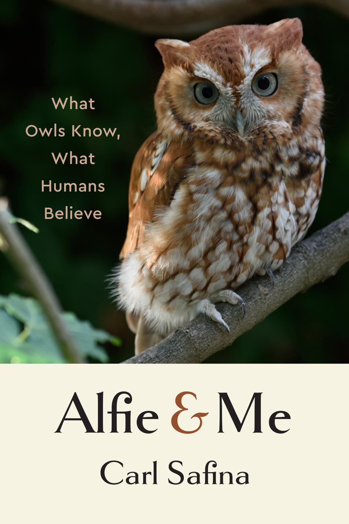 Alfie & Me book cover