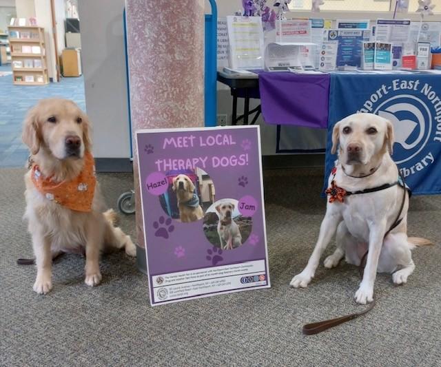 therapy dogs Hazel and Jam